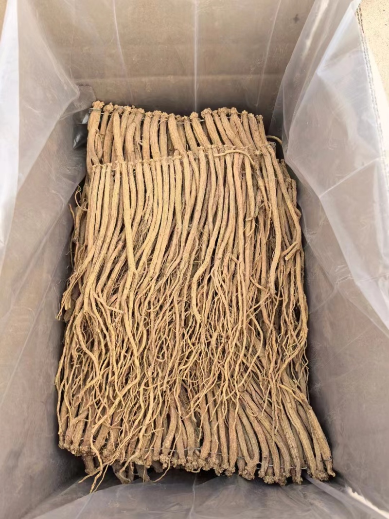 甘肃道地药材精品无硫党参