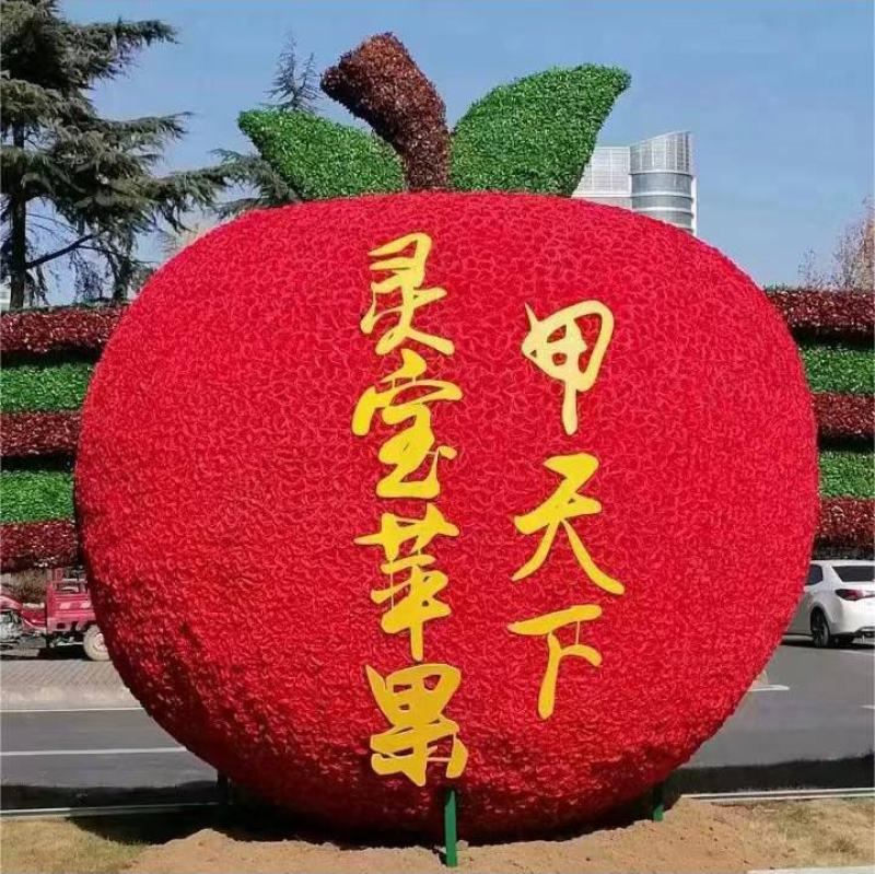 灵宝寺河山苹果，享有“亚洲**高山果园的美誉”