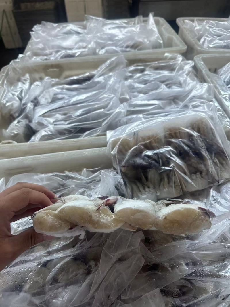 蟹块一手货源，产地一手货源，可以视频看货，欢迎新老客户前