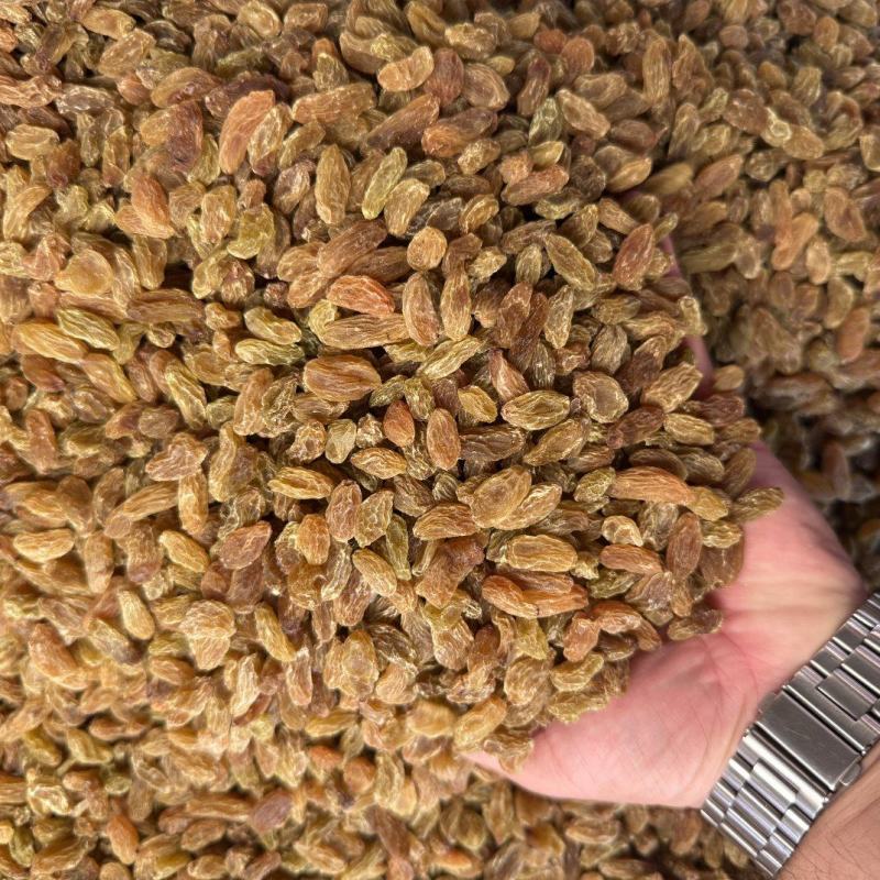 精品麻子葡萄干大量上市品质保证量大从优一手货源