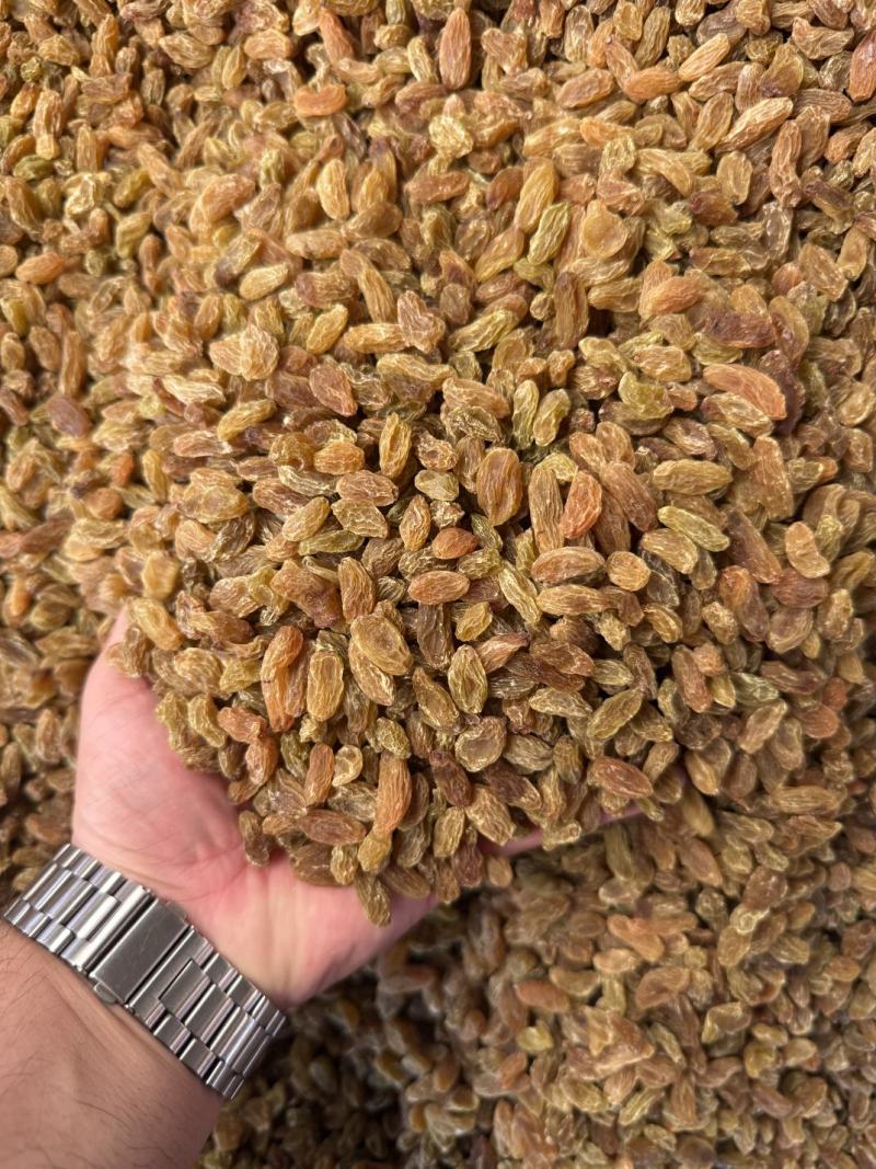 精品麻子葡萄干大量上市品质保证量大从优一手货源