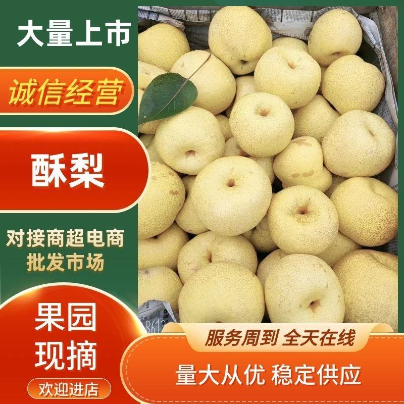 梨，酥梨，产地直供，宁陵石桥镇大力发展树立品牌。欢迎您！