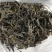 云南普洱茶