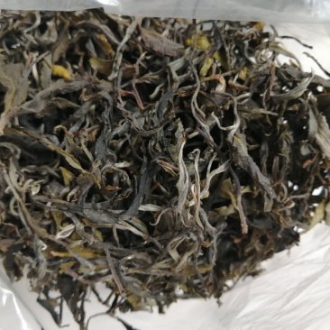云南普洱茶
