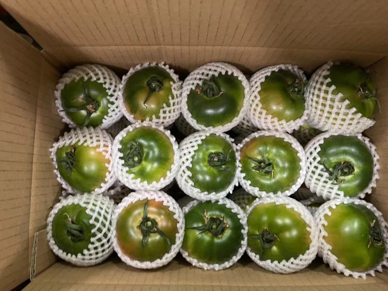 【推荐】辽宁大连草莓西红柿供应市场商超电商量大价优