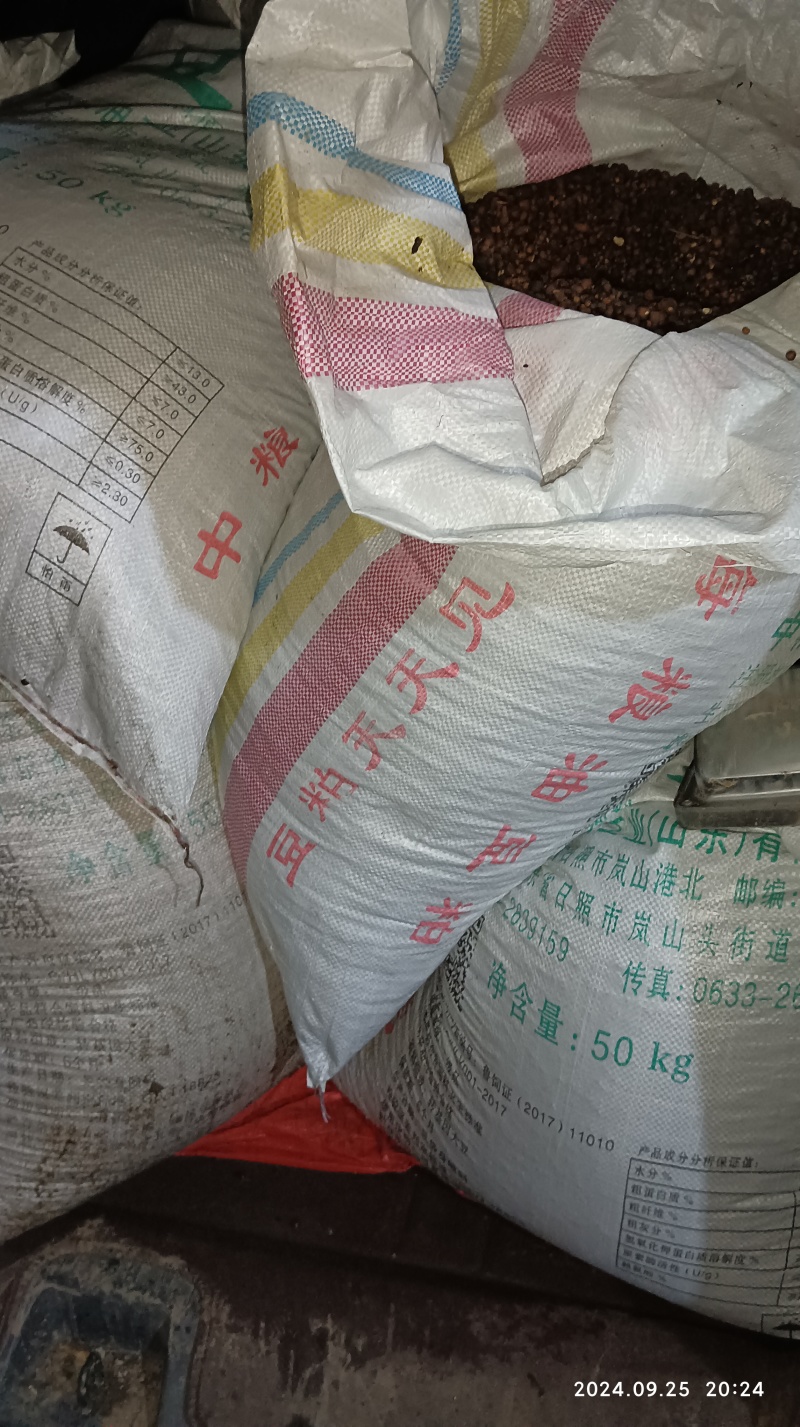 夏天无种子，当天挖当天发货，产地一手货源！