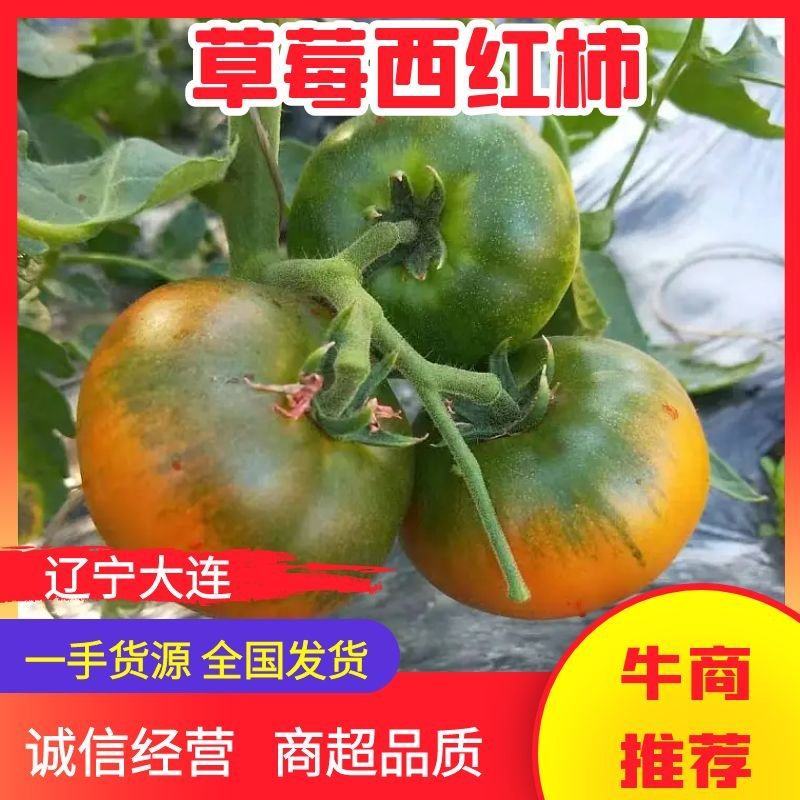 【推荐】辽宁大连草莓西红柿供应市场商超电商量大价优