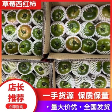 【精选】辽宁大连草莓西红柿供应市场商超电商量大价优
