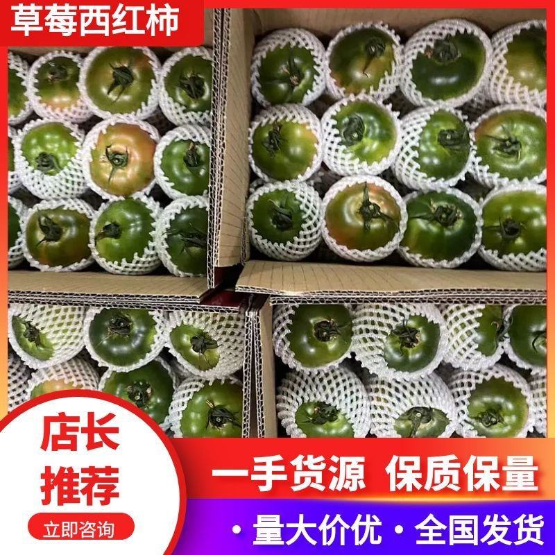 【精选】辽宁大连草莓西红柿供应市场商超电商量大价优