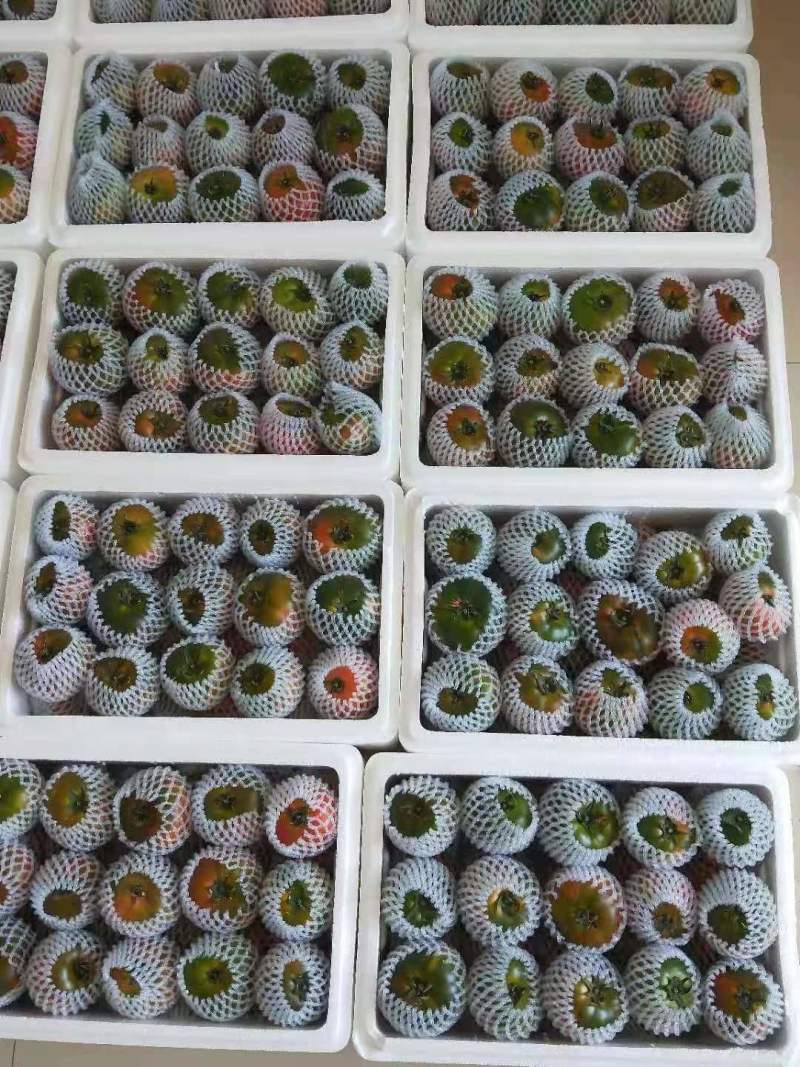 【推荐】辽宁大连草莓西红柿供应市场商超电商量大价优