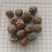 草蔻，草豆蔻产地一手货源实拍现货24小时内发货