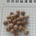 草蔻，草豆蔻产地一手货源实拍现货24小时内发货