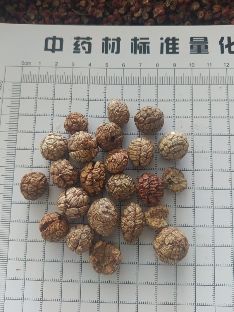 草蔻，草豆蔻产地一手货源实拍现货24小时内发货