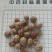 草蔻，草豆蔻产地一手货源实拍现货24小时内发货