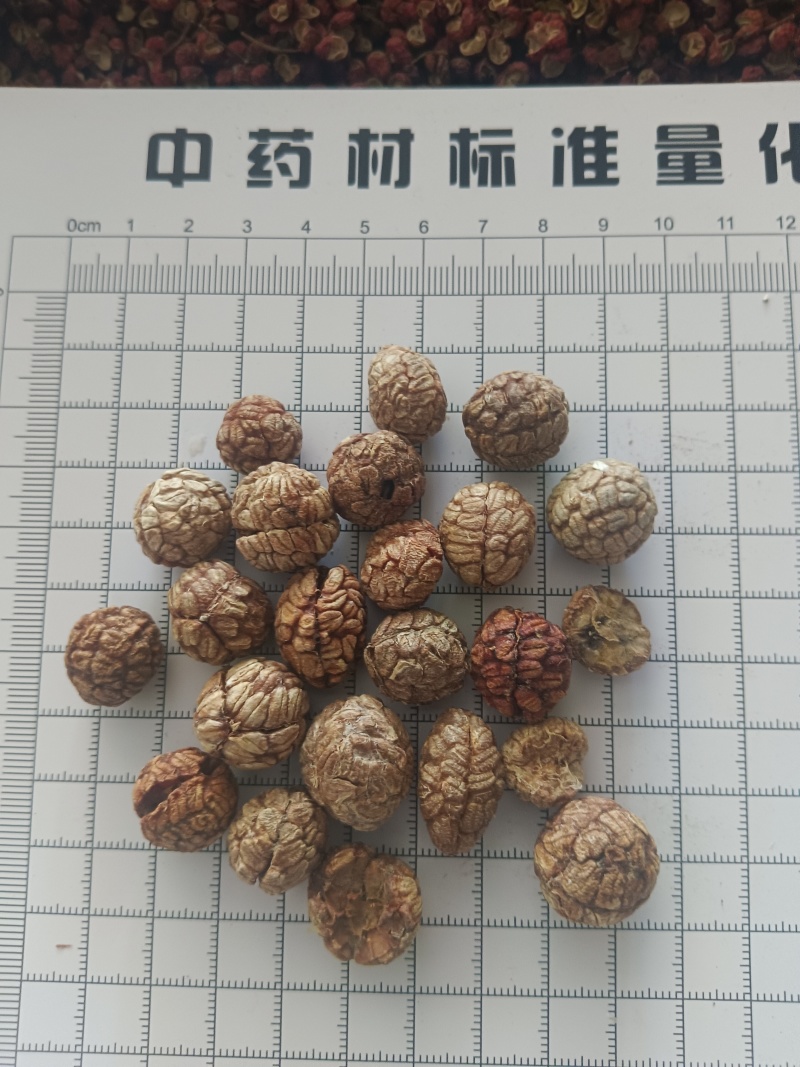 草蔻，草豆蔻产地一手货源实拍现货24小时内发货