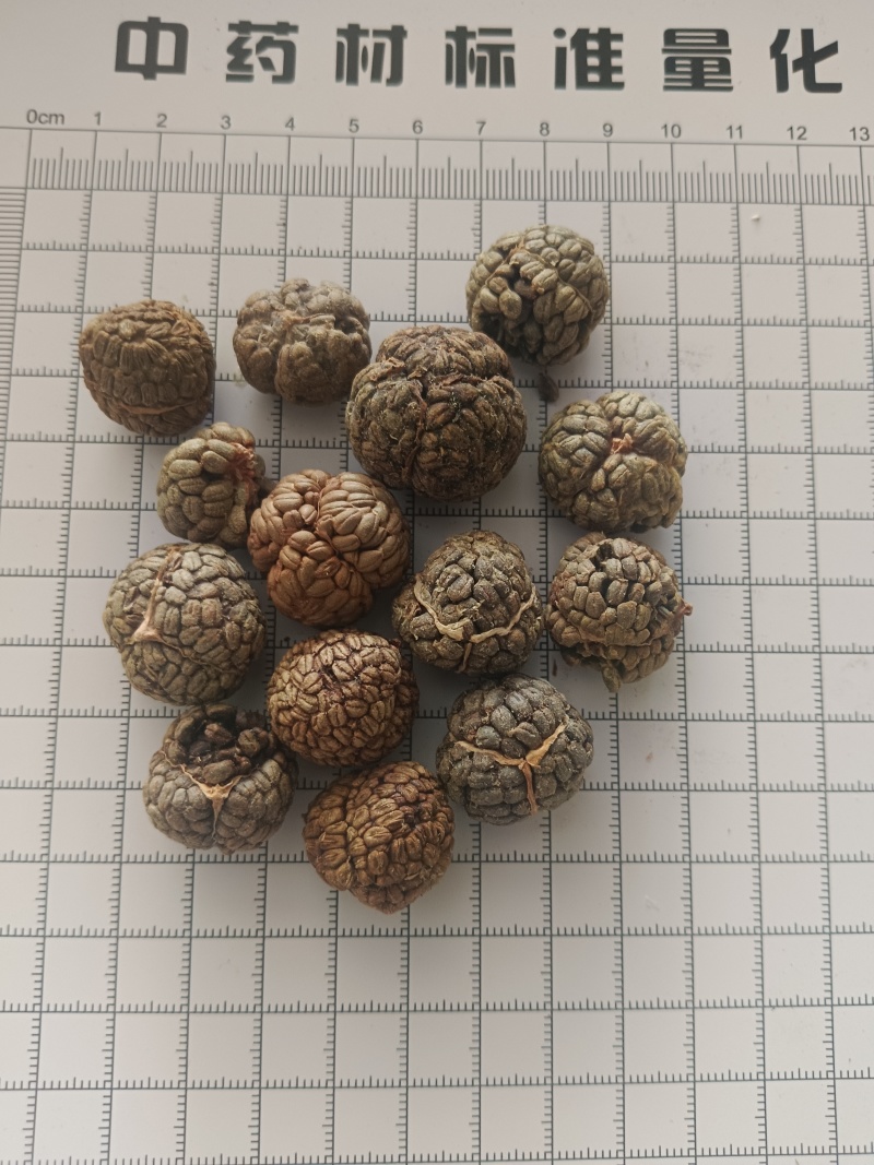 草蔻，草豆蔻产地一手货源实拍现货24小时内发货