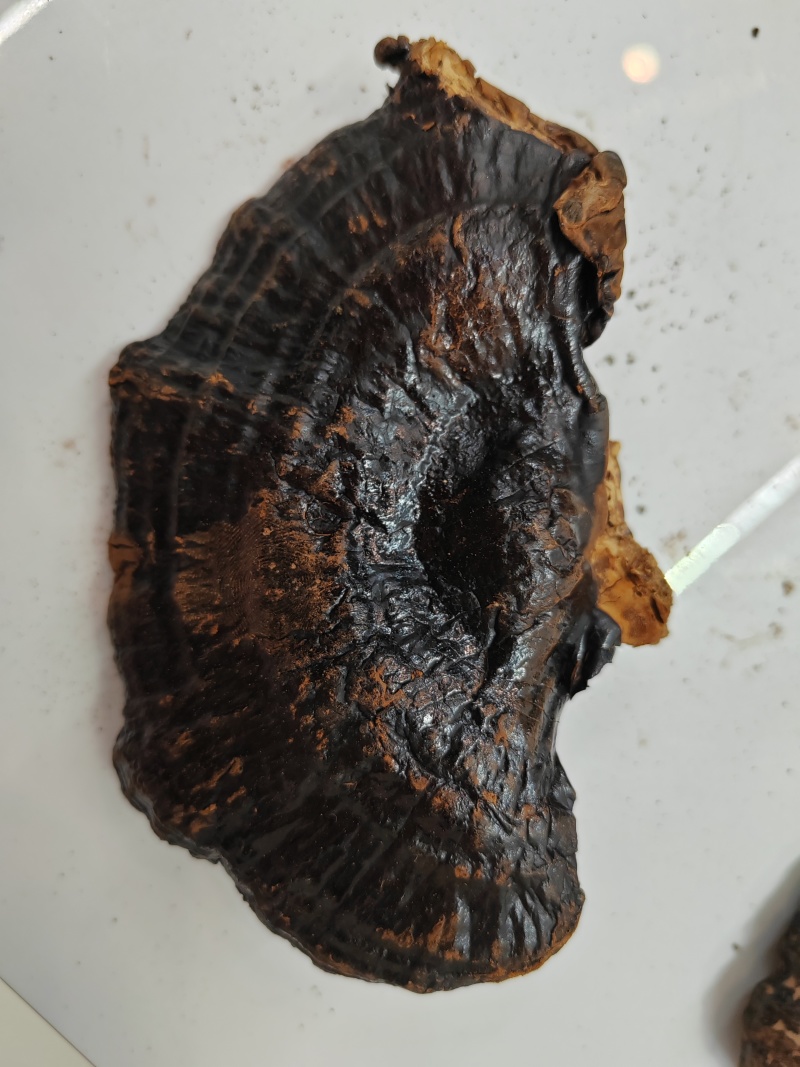 黑灵芝，黑芝，不苦，可煲汤煮汤泡茶，自产自销，物美价廉