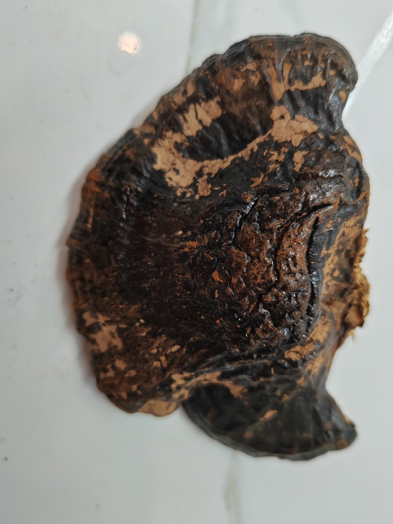 黑灵芝，黑芝，不苦，可煲汤煮汤泡茶，自产自销，物美价廉
