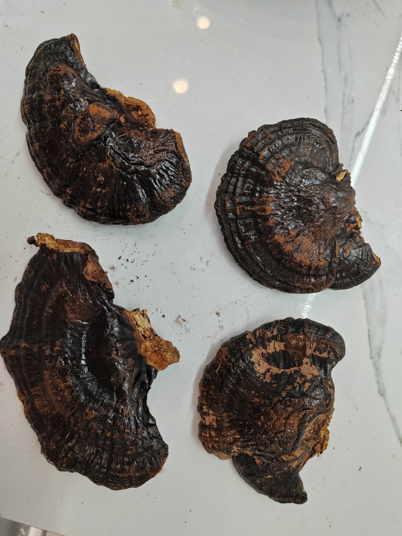 黑灵芝，黑芝，不苦，可煲汤煮汤泡茶，自产自销，物美价廉