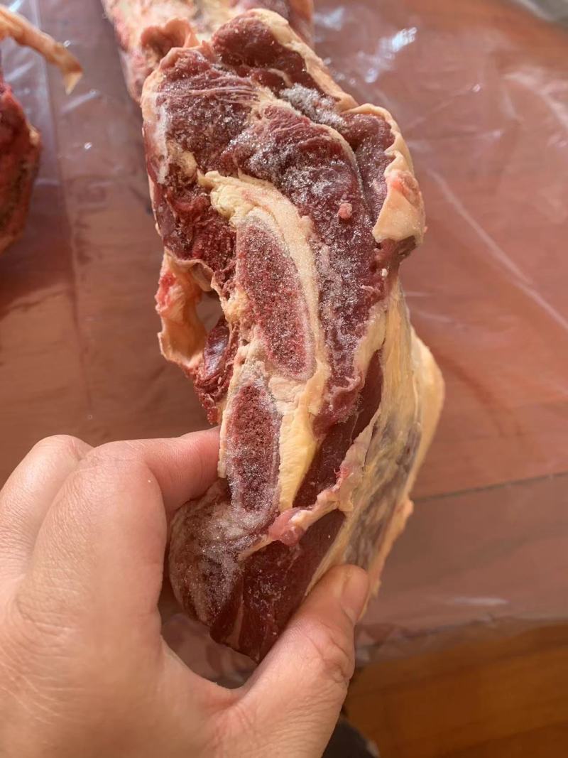 牛骨/黄膘牛胸骨/肉含量高厂家直发可代替牛腩排的一款。