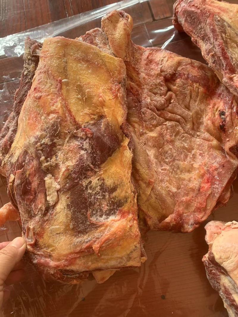 牛骨/黄膘牛胸骨/肉含量高厂家直发可代替牛腩排的一款。