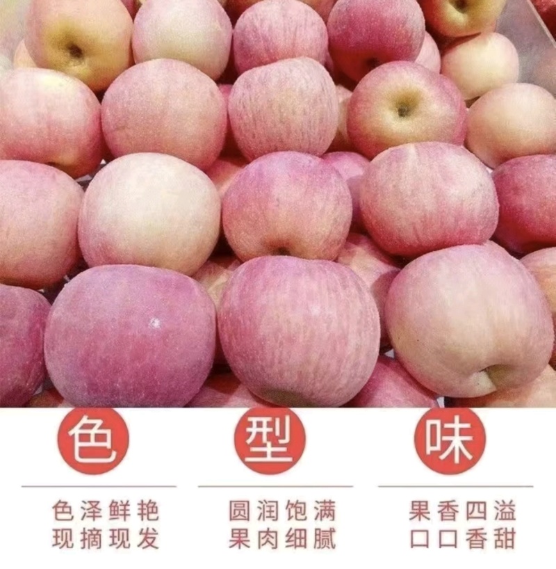 红星苹果一件代发包邮到家保质保量价钱实惠