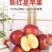 红星苹果一件代发包邮到家保质保量价钱实惠