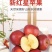 红星苹果一件代发包邮到家保质保量价钱实惠