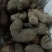 赣南紫山药次品条形不好开叉