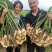 荐【河北鲜姜/坏烂全赔】（精品沙土姜-水洗姜-风干姜）