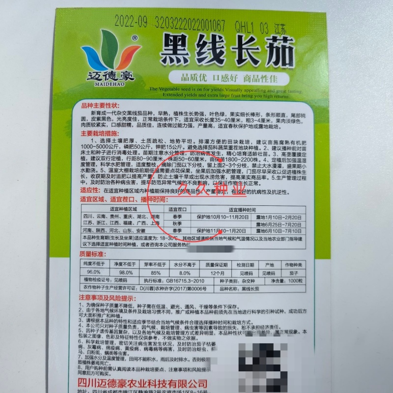 黑线长茄种子早熟杂交一代紫线茄细长抗病丰产甜糯