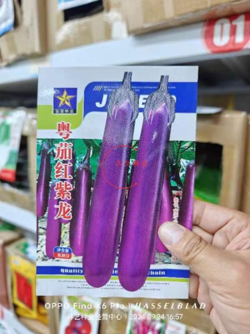 粤茄红紫龙茄子种子丰产抗病耐贮运农家菜园大田四季播种蔬菜