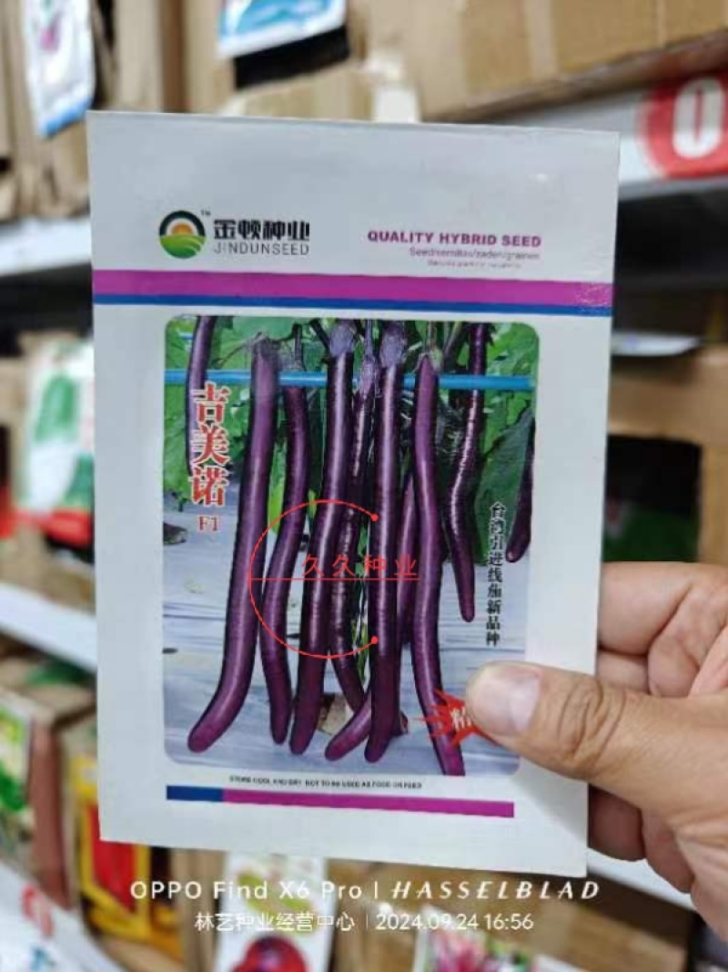 吉美诺线茄长茄种子果型细长线茄种子蔬菜种籽春季秋冬茄子种