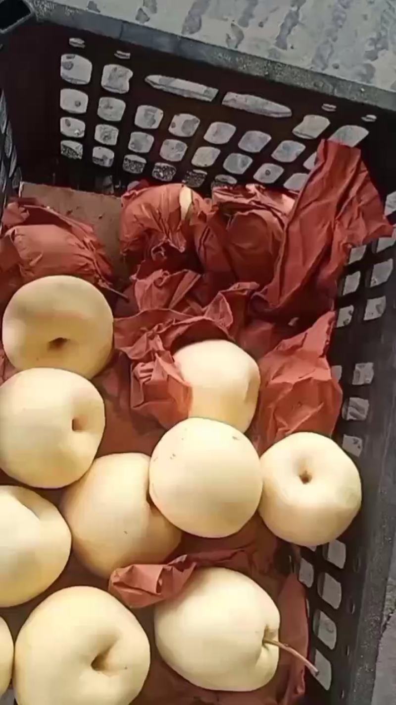 柿子熟了