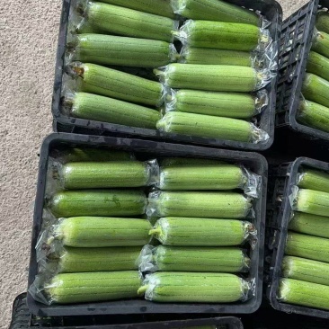质量保证，价格优惠精品一手货源量大