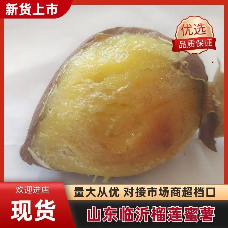榴莲蜜薯产地直发品质保证量大从优欢迎来电
