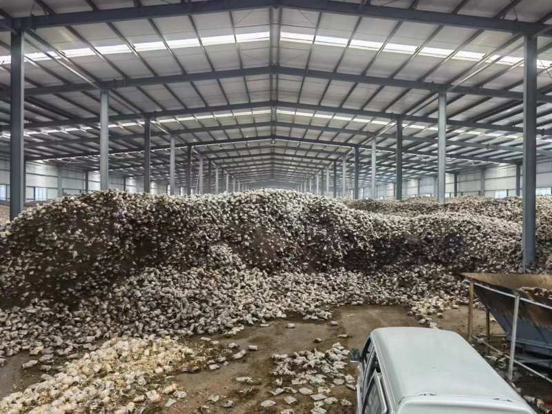 出售鹿茸菇菌渣一手货源水份45左右可发样品全国发货保质保