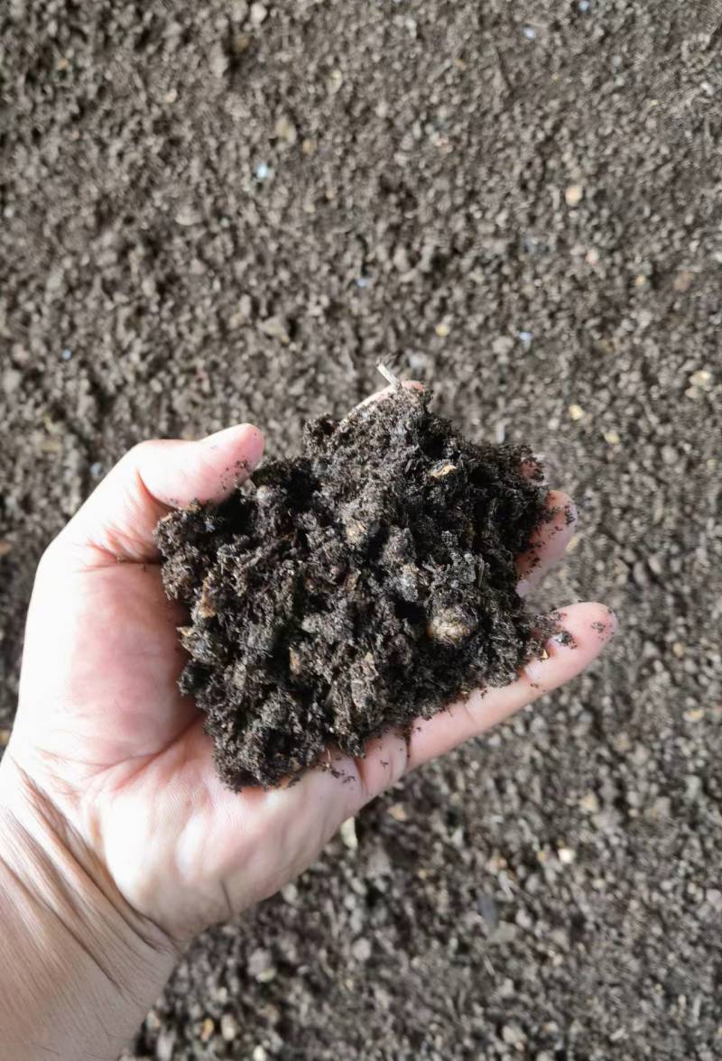 出售鹿茸菇菌渣一手货源水份45左右可发样品全国发货保质保