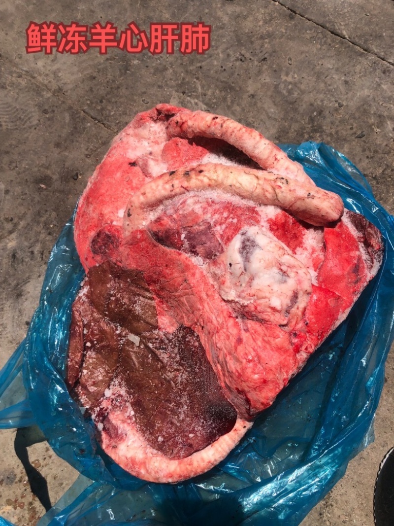 羊杂羊杂碎羊下货羊杂割羊汤生鲜羊羊心肝肺