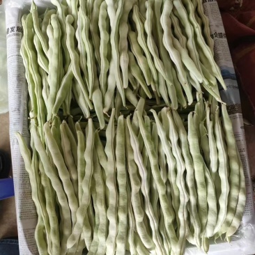 新鲜豆角，北京产地直供，甜脆可口，**特惠！