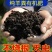 河北精品羊粪厂家直发品质保证一手货源量大从优