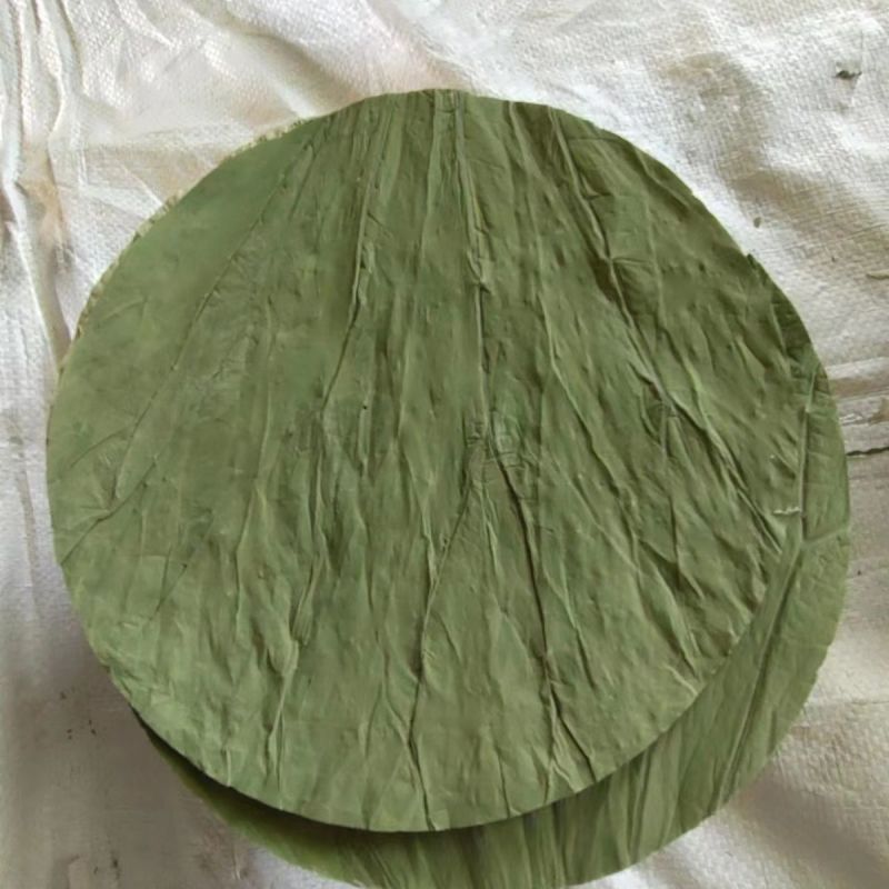 鲜香干荷叶整张荷叶圆形方形扇形接定制
