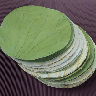 鲜香干荷叶整张荷叶圆形方形扇形接定制