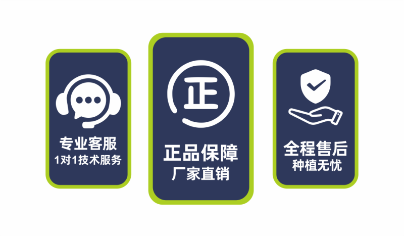 超高钾型大量元素水溶肥快速膨大转色增甜钾肥量大优惠
