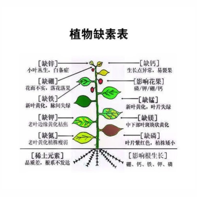 超高钾型大量元素水溶肥快速膨大转色增甜钾肥量大优惠