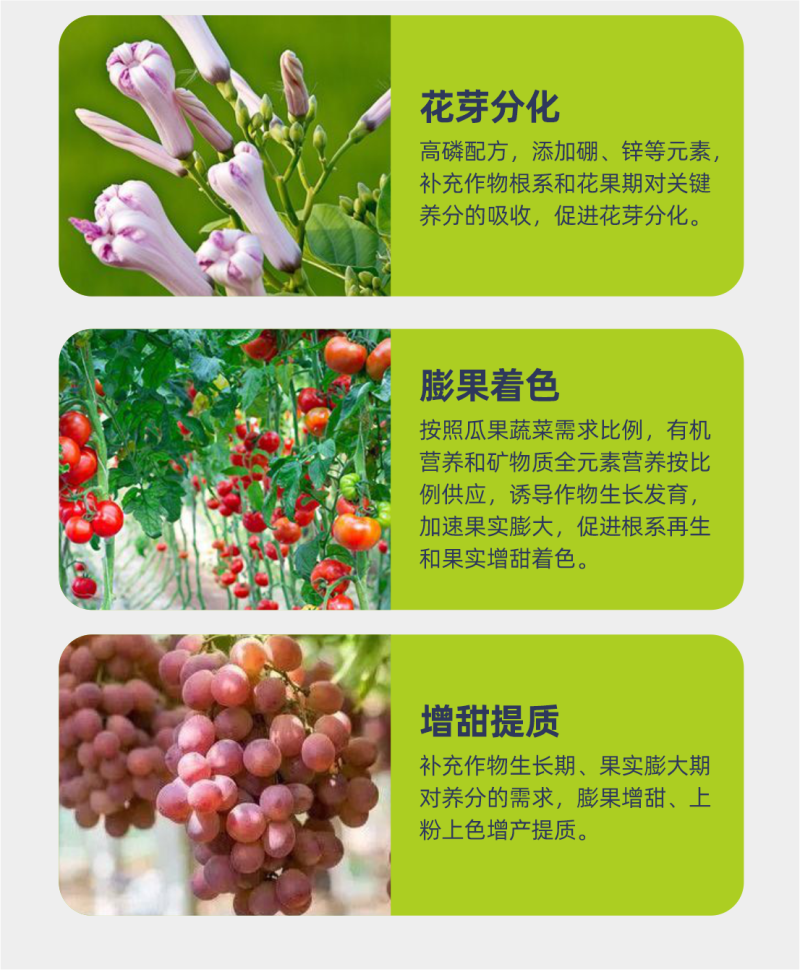 超高钾型大量元素水溶肥快速膨大转色增甜钾肥量大优惠