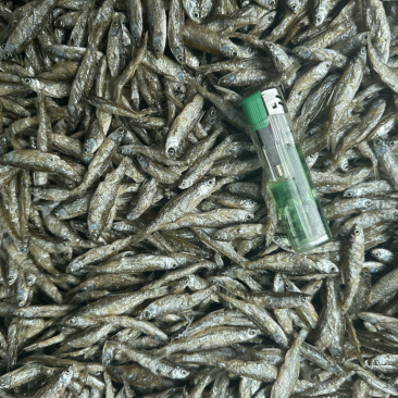 油炸白肖，餐条