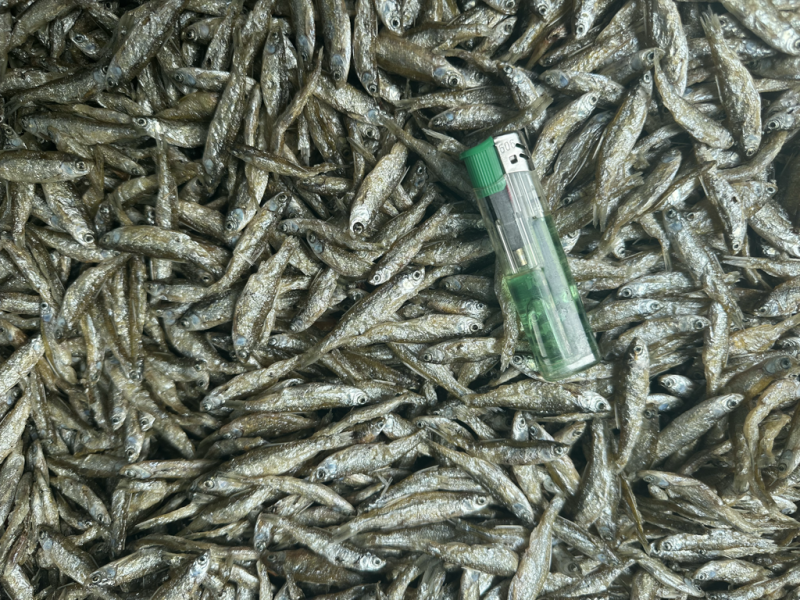 油炸白肖，餐条