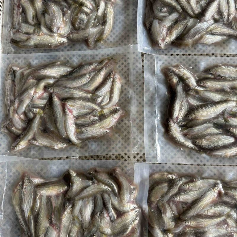 去内脏大麦穗