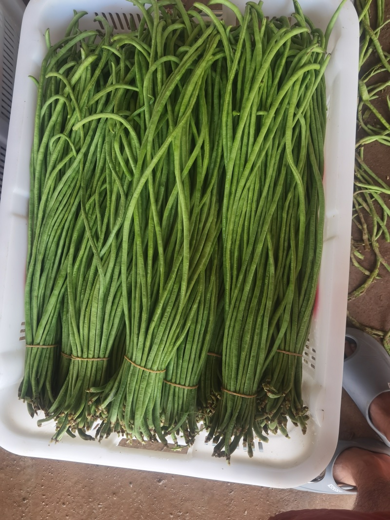 青豆角
